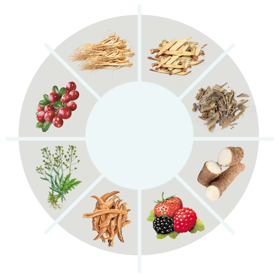 VitalFlow ingredient circle